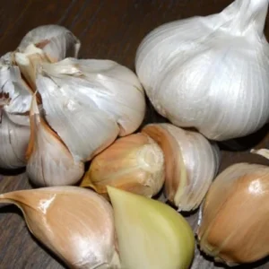 Giant Elephant Garlic Bulbs - 1 Pound - Planting Garlic Outdoors