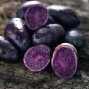 Heirloom Potato Seeds - True Vegetable Seeds for Growing