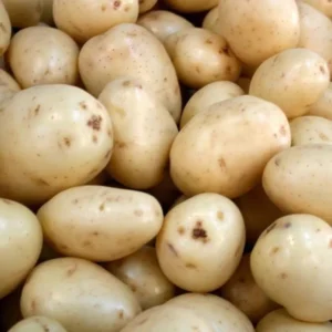 Potato Seeds for Growing Outdoors - True Potato Seeds for Home Gardens