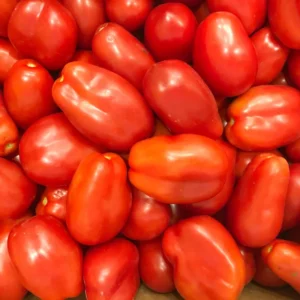 San Marzano Tomato Plants - 4 Pack Live Young Garden Plants 6-10 Inch