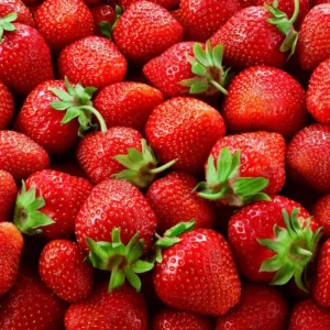 Seascape Everbearing Strawberry Plants - 10 Bareroot Plants Easy to Plant