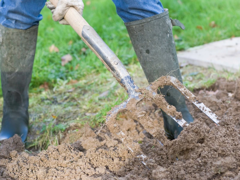 Soil Preparation