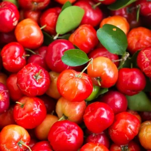 Barbados Cherry Trees - Live Plants 5-9 Inches Tall - Red Fruit