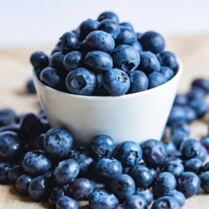 Blueberry Plants Live Bushes for Planting Indoor Outdoor Garden