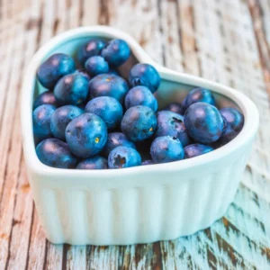 Blueberry Plants Live Bushes for Planting Indoor Outdoor Garden