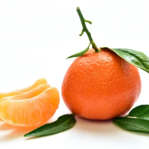 Tangerine Seeds - 6 Sweet Citrus Fruit Seeds - Grow Your Own