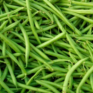 Green Beans Plant - Vegetable Plant - 4-6 Inch Pot - Home Grown