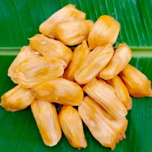 Jackfruit Tree: Tropical Plant Live for Planting - 6-8 Inches