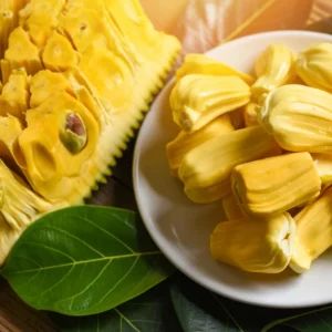 Jackfruit Tree: Tropical Plant Live for Planting - 6-8 Inches