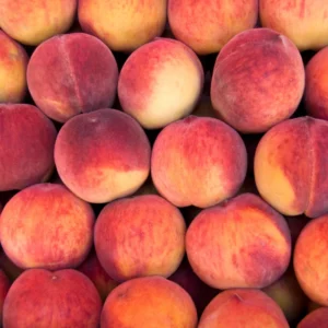 Peach Fruit Tree 7-10 Inch Tall - Grow Delicious Peaches Now!