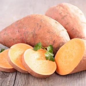 Beauregard Sweet Potato Slips - 10 Sweet Potato Cuttings for Planting