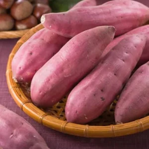 Japanese Red Sweet Potato Slips - 10 Sweet Potato Cuttings for Planting