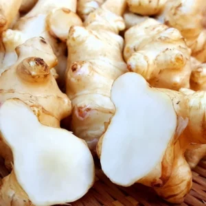 Jerusalem Artichoke Tubers 9 Pcs Live Roots for Planting Sunchokes Sunroots
