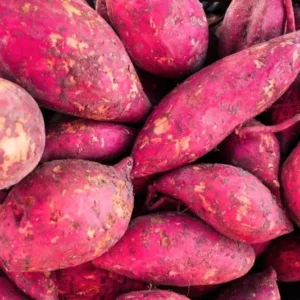 Red Sweet Potato Slips, Sweet Potato Cuttings - 10 Count - Vegetable Starts