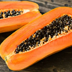 Papaya Plant Live 5-10 Inch - Tropical Fruit Tree for Containers