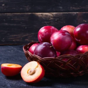 Plum Tree - American Plum Tree, 1 Year Old Fruit Plant, Quart Pot, Grow Indoors/Outdoors