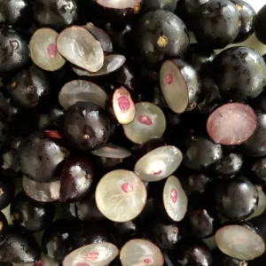 Jaboticaba Tree - Live Fruit Tree Plant, 24-36 Inches Tall