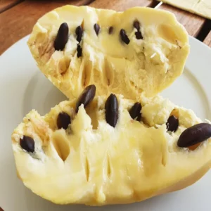 Pawpaw Tree Live Plant - Hardy Fruit Tree - 8-12 Inches - Garden & Patio
