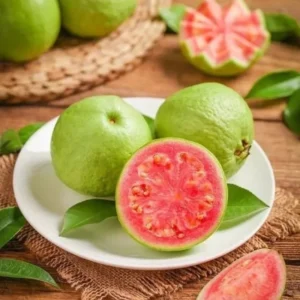 Pink Guava Tree - 8-Month-Old Guava Plant 4-9 Inches - Fruit Tree