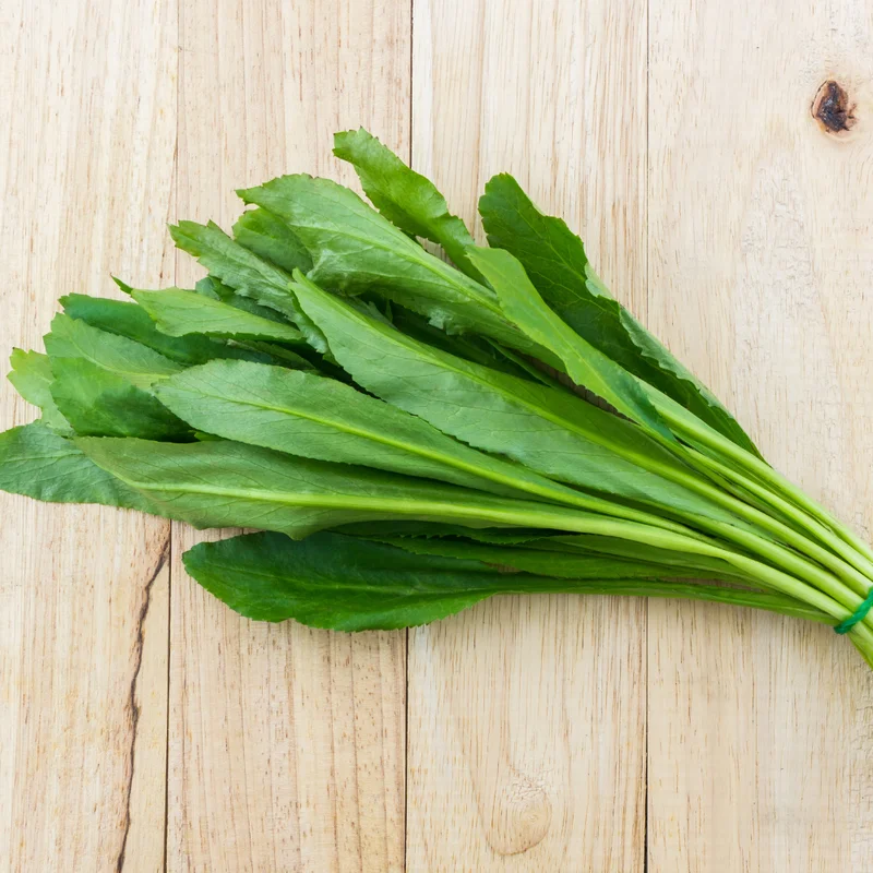 Culantro Plant Live - 4 Pack Herb Plant - Garden Ready - 4-6 Inches