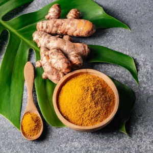 Turmeric Plant Live - Curcuma Rhizome for Planting Indoor Outdoor - 4-6 Inches Tall